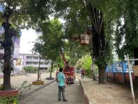 ดับเพลิงแม่สอด ออกตัดต้นไม้ภายในโรงเรียนเทศบาลวัดชุมพลคีรี