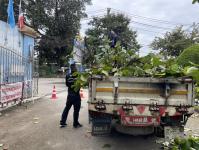 ดับเพลิงแม่สอด ออกตัดต้นไม้ภายในโรงเรียนเทศบาลวัดชุมพลคีรี