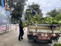 ดับเพลิงแม่สอด ออกตัดต้นไม้ภายในโรงเรียนเทศบาลวัดชุมพลคีรี