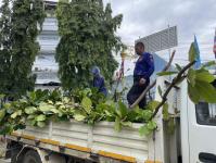 ดับเพลิงแม่สอด ออกตัดต้นไม้ภายในโรงเรียนเทศบาลวัดชุมพลคีรี