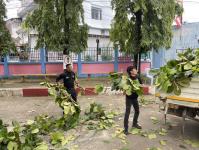 ดับเพลิงแม่สอด ออกตัดต้นไม้ภายในโรงเรียนเทศบาลวัดชุมพลคีรี