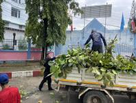ดับเพลิงแม่สอด ออกตัดต้นไม้ภายในโรงเรียนเทศบาลวัดชุมพลคีรี