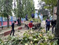 ดับเพลิงแม่สอด ออกตัดต้นไม้ภายในโรงเรียนเทศบาลวัดชุมพลคีรี