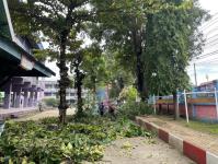 ดับเพลิงแม่สอด ออกตัดต้นไม้ภายในโรงเรียนเทศบาลวัดชุมพลคีรี