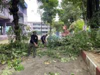 ดับเพลิงแม่สอด ออกตัดต้นไม้ภายในโรงเรียนเทศบาลวัดชุมพลคีรี