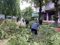 ดับเพลิงแม่สอด ออกตัดต้นไม้ภายในโรงเรียนเทศบาลวัดชุมพลคีรี