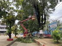 ดับเพลิงแม่สอด ออกตัดต้นไม้ภายในโรงเรียนเทศบาลวัดชุมพลคีรี