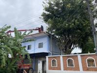 ดับเพลิงแม่สอด ออกกำจัดรังผึ้งบ้านประชาชน ชุมชนร่วมแรง