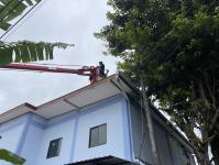 ดับเพลิงแม่สอด ออกกำจัดรังผึ้งบ้านประชาชน ชุมชนร่วมแรง