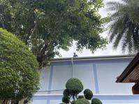 ดับเพลิงแม่สอด ออกกำจัดรังผึ้งบ้านประชาชน ชุมชนร่วมแรง