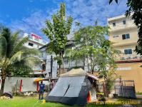 ดับเพลิงแม่สอด ออกตัดต้นไม้แนวสายไฟฟ้า บริเวณหลัง บริษัท AIA