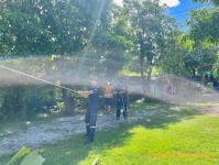 ดับเพลิงแม่สอด ออกตัดต้นไม้แนวสายไฟฟ้า บริเวณหลัง บริษัท AIA