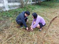 กองยุทธศาสตร์และงบประมาณ เข้าร่วมกิจกรรมวันต้นไม้ประจำปีของชาติ พ.ศ.2566