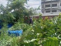 ดับเพลิงแม่สอด ออกตัดต้นไม้ภายในศูนย์กลางแสดงสินค้าและศูนย์ประชุมเพื่อส่งเสริมการท่องเที่ยว - OTOP