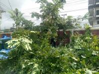 ดับเพลิงแม่สอด ออกตัดต้นไม้ภายในศูนย์กลางแสดงสินค้าและศูนย์ประชุมเพื่อส่งเสริมการท่องเที่ยว - OTOP