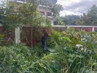 ดับเพลิงแม่สอด ออกตัดต้นไม้ภายในศูนย์กลางแสดงสินค้าและศูนย์ประชุมเพื่อส่งเสริมการท่องเที่ยว - OTOP