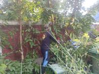 ดับเพลิงแม่สอด ออกตัดต้นไม้ภายในศูนย์กลางแสดงสินค้าและศูนย์ประชุมเพื่อส่งเสริมการท่องเที่ยว - OTOP