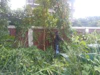 ดับเพลิงแม่สอด ออกตัดต้นไม้ภายในศูนย์กลางแสดงสินค้าและศูนย์ประชุมเพื่อส่งเสริมการท่องเที่ยว - OTOP