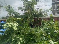 ดับเพลิงแม่สอด ออกตัดต้นไม้ภายในศูนย์กลางแสดงสินค้าและศูนย์ประชุมเพื่อส่งเสริมการท่องเที่ยว - OTOP