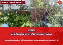ดับเพลิงแม่สอด ออกตัดต้นไม้ภายในศูนย์กลางแสดงสินค้าและศูนย์ประชุมเพื่อส่งเสริมการท่องเที่ยว - OTOP