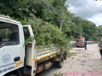 ดับเพลิงนครแม่สอด ออกตัดต้นไม้พาดผ่านสายไฟฟ้า บริเวณชุมชนวัดหลวง