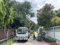 ดับเพลิงนครแม่สอด ออกตัดต้นไม้พาดผ่านสายไฟฟ้า บริเวณชุมชนวัดหลวง