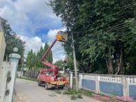 ดับเพลิงนครแม่สอด ออกตัดต้นไม้พาดผ่านสายไฟฟ้า บริเวณชุมชนวัดหลวง