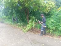 ดับเพลิงแม่สอด ออกตัดกิ่งไม้พาดผ่านสายไฟฟ้า บริเวณหลังอู่ช่างลือ