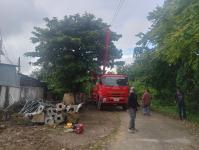 ดับเพลิงแม่สอด ออกตัดกิ่งไม้พาดผ่านสายไฟฟ้า บริเวณหลังอู่ช่างลือ