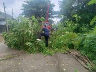 ดับเพลิงแม่สอด ออกตัดกิ่งไม้พาดผ่านสายไฟฟ้า บริเวณหลังอู่ช่างลือ