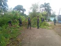 ดับเพลิงแม่สอด ออกตัดกิ่งไม้พาดผ่านสายไฟฟ้า บริเวณหลังอู่ช่างลือ