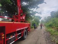 ดับเพลิงแม่สอด ออกตัดกิ่งไม้พาดผ่านสายไฟฟ้า บริเวณหลังอู่ช่างลือ