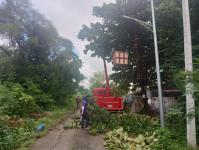 ดับเพลิงแม่สอด ออกตัดกิ่งไม้พาดผ่านสายไฟฟ้า บริเวณหลังอู่ช่างลือ