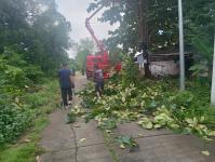 ดับเพลิงแม่สอด ออกตัดกิ่งไม้พาดผ่านสายไฟฟ้า บริเวณหลังอู่ช่างลือ