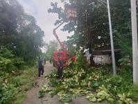 ดับเพลิงแม่สอด ออกตัดกิ่งไม้พาดผ่านสายไฟฟ้า บริเวณหลังอู่ช่างลือ