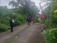 ดับเพลิงแม่สอด ออกตัดกิ่งไม้พาดผ่านสายไฟฟ้า บริเวณหลังอู่ช่างลือ