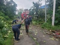 ดับเพลิงแม่สอด ออกตัดกิ่งไม้พาดผ่านสายไฟฟ้า บริเวณหลังอู่ช่างลือ