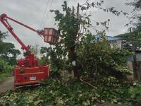 ดับเพลิงแม่สอด ออกตัดกิ่งไม้พาดผ่านสายไฟฟ้า บริเวณหลังอู่ช่างลือ