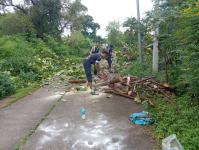 ดับเพลิงแม่สอด ออกตัดกิ่งไม้พาดผ่านสายไฟฟ้า บริเวณหลังอู่ช่างลือ