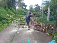 ดับเพลิงแม่สอด ออกตัดกิ่งไม้พาดผ่านสายไฟฟ้า บริเวณหลังอู่ช่างลือ