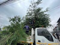 ดับเพลิงแม่สอด ออกตัดต้นไม้สี่แยกร้านขายปลา(ตลาดพาเจริญ)