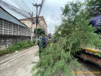 ดับเพลิงแม่สอด ออกตัดต้นไม้สี่แยกร้านขายปลา(ตลาดพาเจริญ)