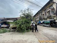 ดับเพลิงแม่สอด ออกตัดต้นไม้สี่แยกร้านขายปลา(ตลาดพาเจริญ)