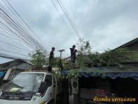 ดับเพลิงแม่สอด ออกตัดต้นไม้สี่แยกร้านขายปลา(ตลาดพาเจริญ)