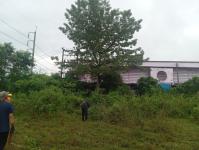 ดับเพลิงแม่สอด ออกตัดต้นไม้บริเวณข้างโรงเรียนเทศบาลเฉลิมพระเกียรติสมเด็จพระเทพรัตนราชสุดา ฯ