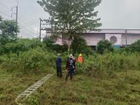 ดับเพลิงแม่สอด ออกตัดต้นไม้บริเวณข้างโรงเรียนเทศบาลเฉลิมพระเกียรติสมเด็จพระเทพรัตนราชสุดา ฯ