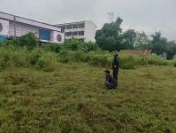 ดับเพลิงแม่สอด ออกตัดต้นไม้บริเวณข้างโรงเรียนเทศบาลเฉลิมพระเกียรติสมเด็จพระเทพรัตนราชสุดา ฯ