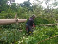 ดับเพลิงแม่สอด ออกตัดต้นไม้บริเวณข้างโรงเรียนเทศบาลเฉลิมพระเกียรติสมเด็จพระเทพรัตนราชสุดา ฯ