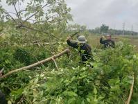 ดับเพลิงแม่สอด ออกตัดต้นไม้บริเวณข้างโรงเรียนเทศบาลเฉลิมพระเกียรติสมเด็จพระเทพรัตนราชสุดา ฯ