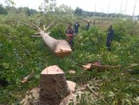 ดับเพลิงแม่สอด ออกตัดต้นไม้บริเวณข้างโรงเรียนเทศบาลเฉลิมพระเกียรติสมเด็จพระเทพรัตนราชสุดา ฯ